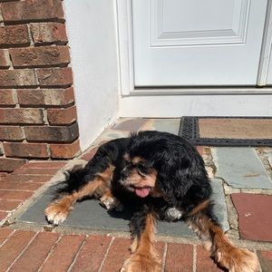 Meet your Posher, Pr